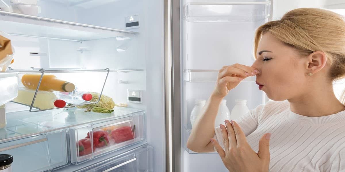 Bad Odors -How To Troubleshoot Your Refrigerator Problems