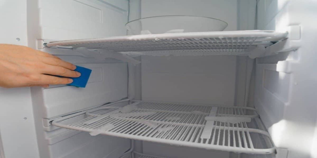 Defrost Food in the Fridge-Tips for Refrigerator