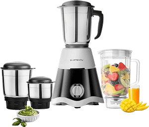 Longway Mixer Grinder