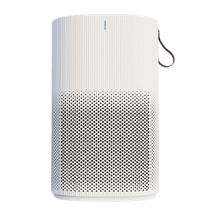 Eureka Forbes Air Purifier