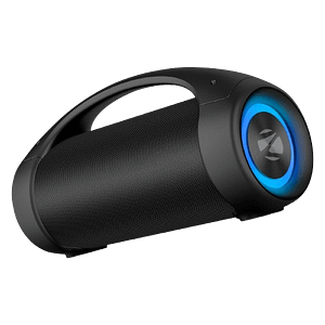 ZEBRONICS Party Speaker