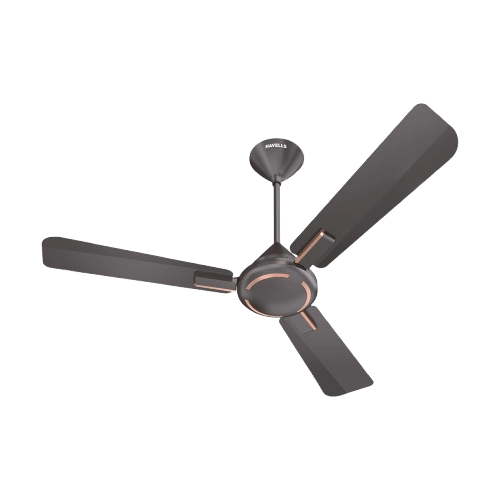 Havells Ambrose ES 1200mm Ceiling Fan​