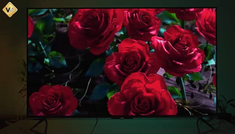 Panel of the best TCL LED TV