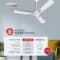 Havells 1200mm Ambrose BLDC Ceiling Fan