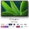 Sony Bravia 32 Inch TV (KD-32W830K)