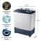 Samsung 6.5 kg Semi-Automatic Washing Machine (WT65R2200LL/TL)